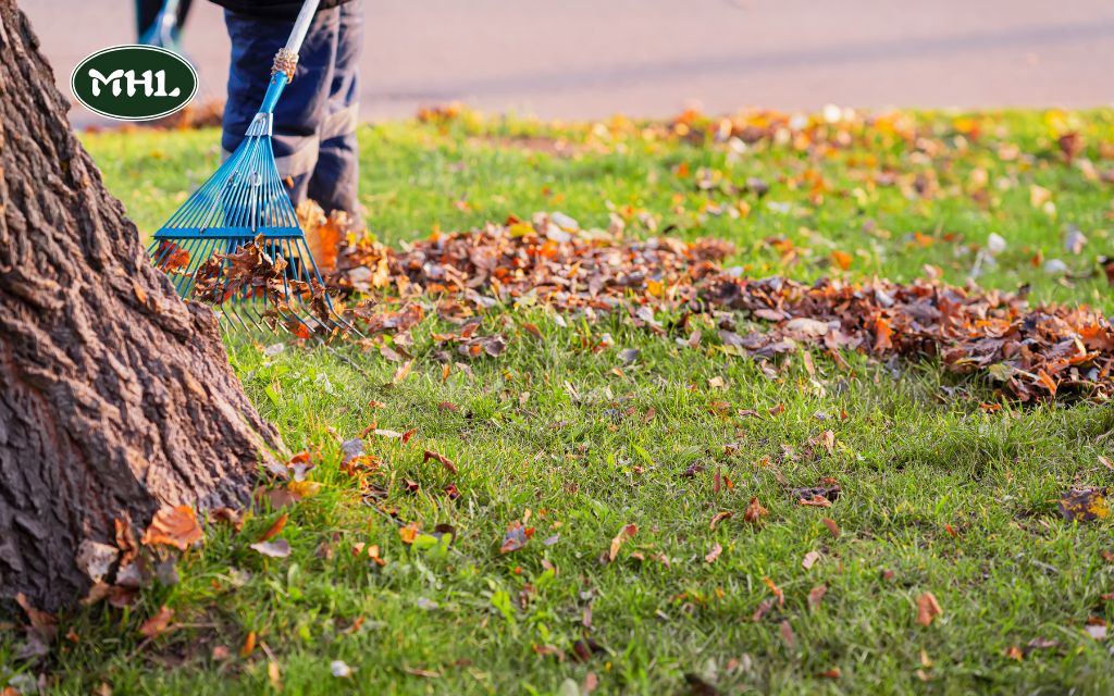 Lawn Mowing Related Services