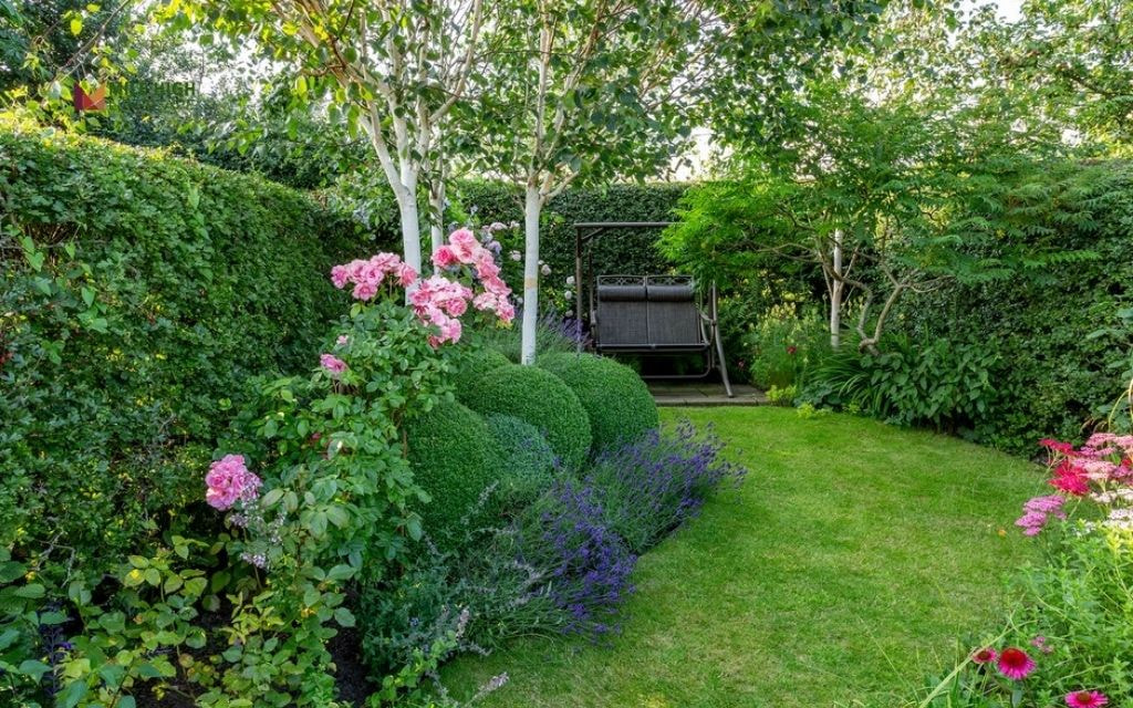 Mini Corner Bed with Evergreen Shrubs