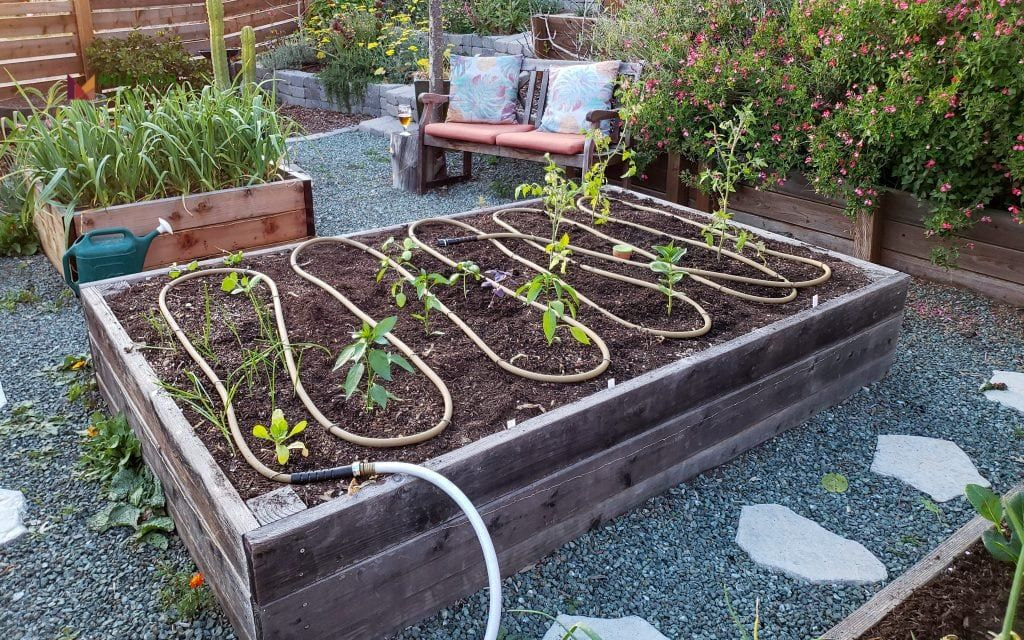 Mixed Sun Zones with Adjustable Irrigation Lines