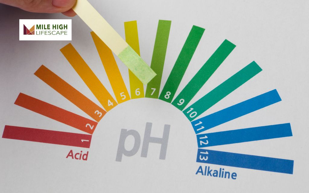 Balance Soil pH Levels