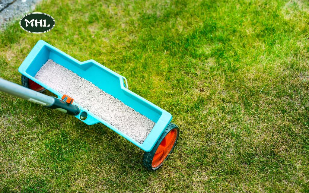 Organizing Your Spring Lawn Care Routine 