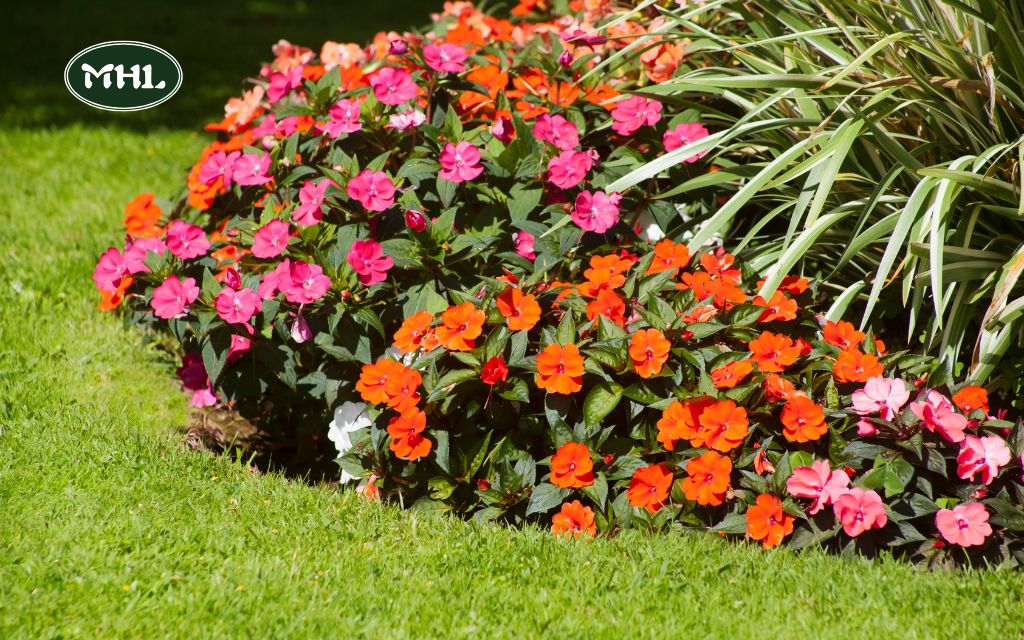 Pathways, Flower Beds, and Lighting