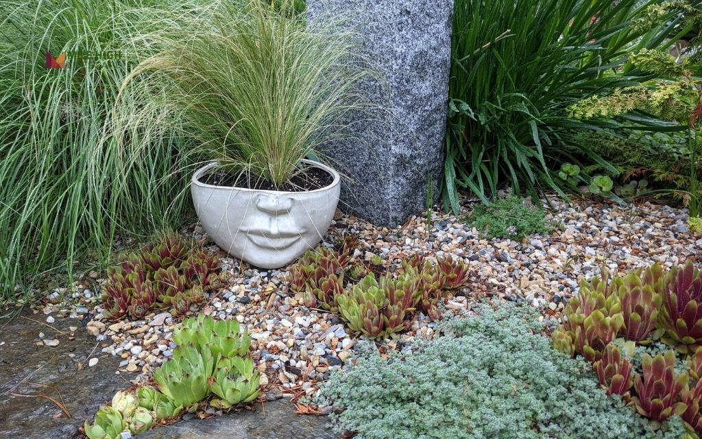 Pea Gravel Base with Low-Growing Native Perennials