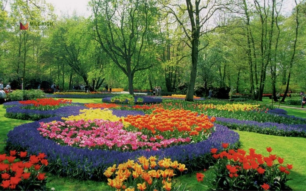 Raised Circular Beds with Drip Irrigation