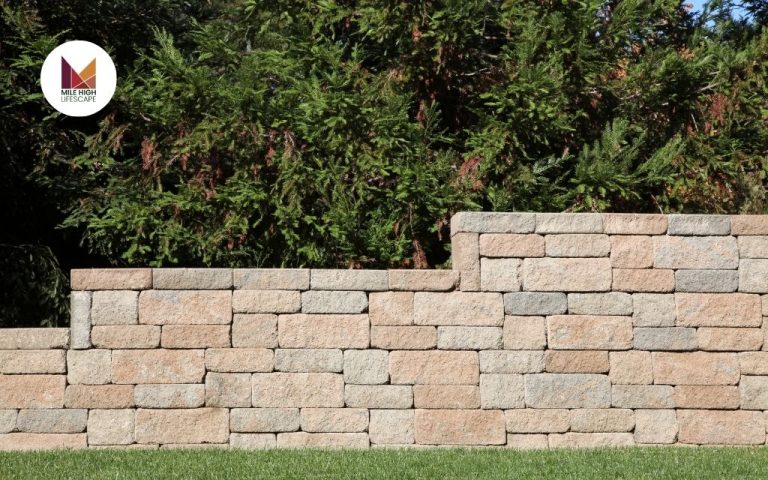 Retaining Walls: 4 Types and Cost-Effective Designs for Your Landscape