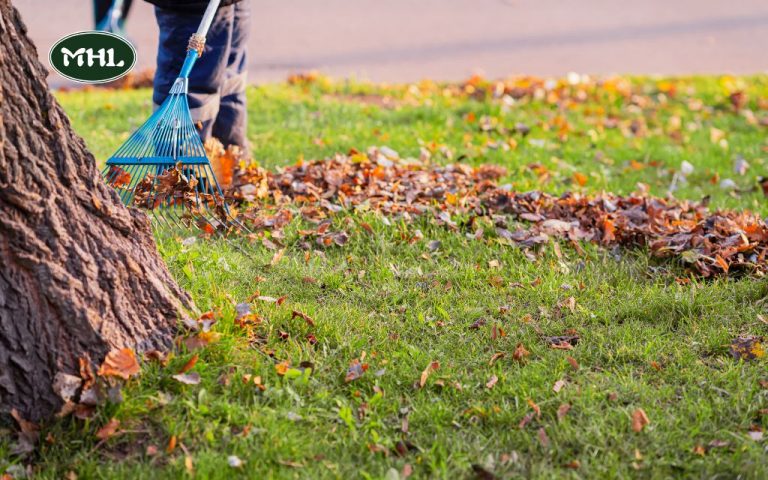 Spring Clean Up Landscaping: Refresh Your Yard for the Season