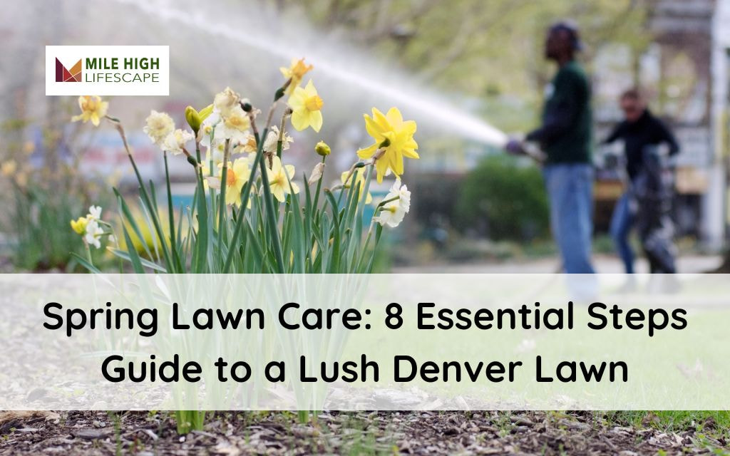 spring lawn care 8 essential steps guide to a lush denver lawn