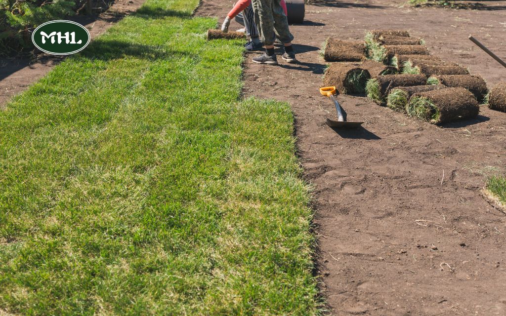 Spring Lawn Landscaping Tips: Budget-Friendly