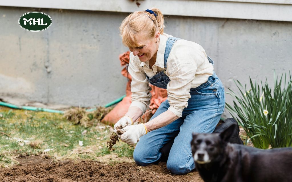 Spring Yard Cleanup: The First Step to a Beautiful Yard