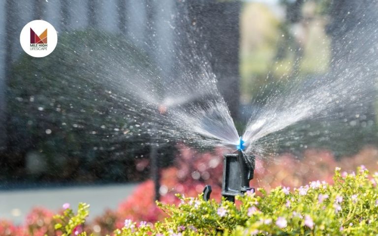 Sprinkler Installation: Let Mile High Lifescapes Keep Your Lawn Green All Season