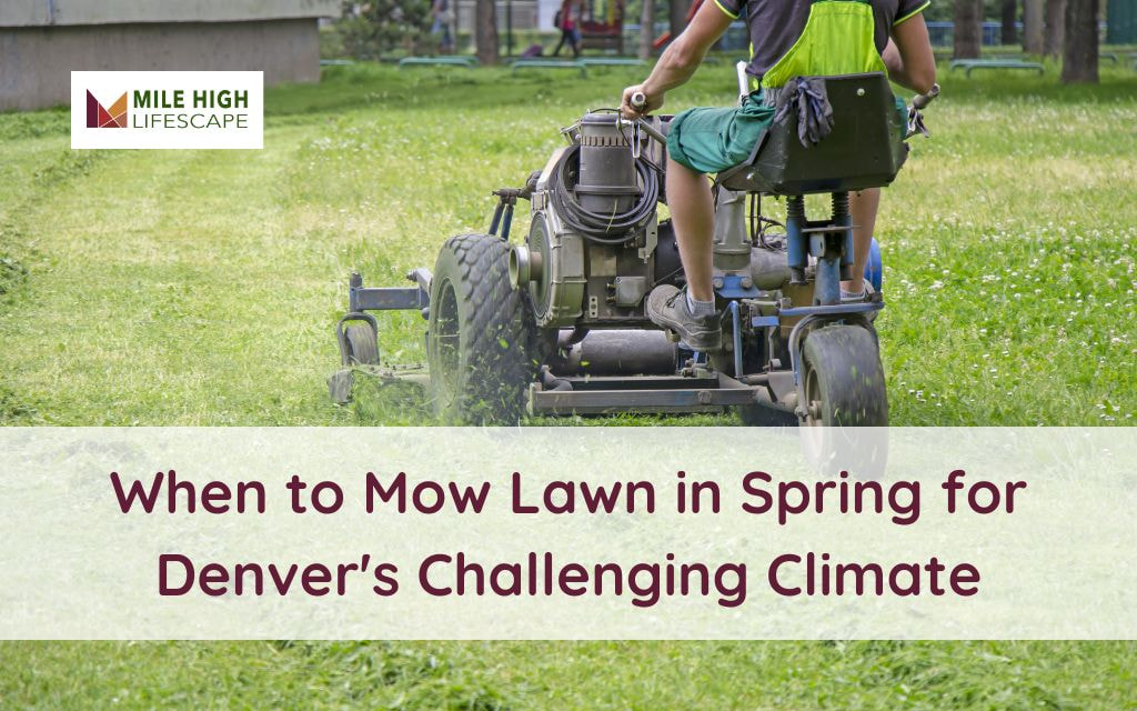 When should you start mowing your lawn?