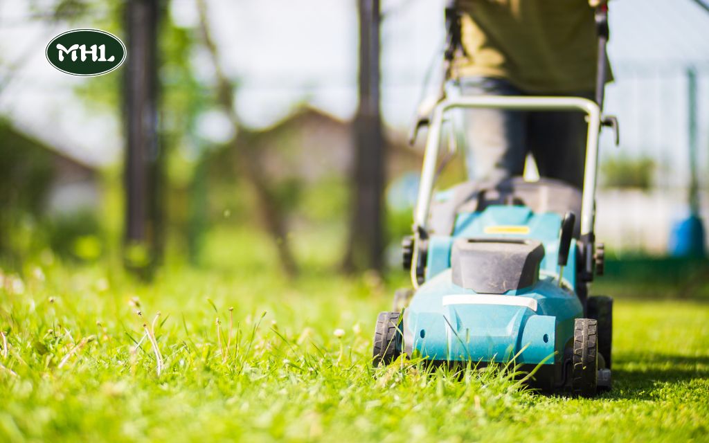 Tips for Maintaining a Healthy Spring Lawn