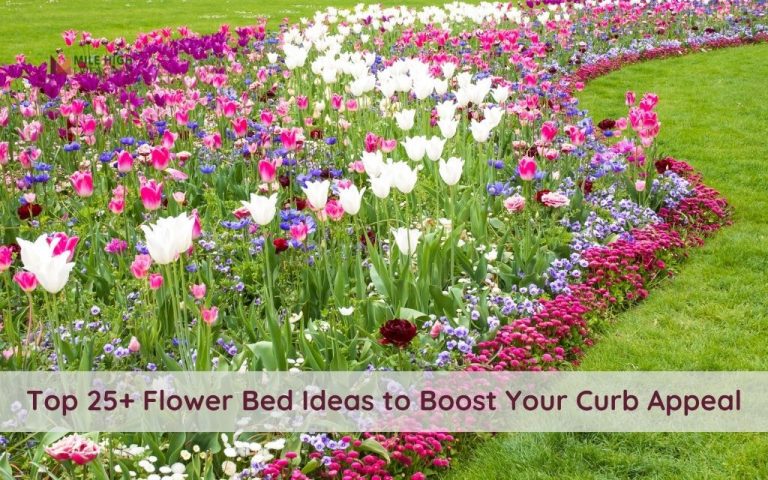 Top 25+ Flower Bed Ideas to Boost Your Curb Appeal in Colorado's Area