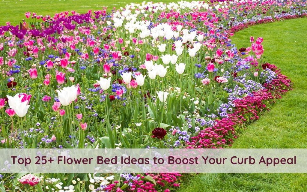 Top 25+ Flower Bed Ideas to Boost Your Curb Appeal in Colorado's Area