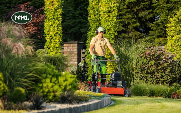 Top Lawn Maintenance Services in Denver: Your Guide to a Perfect Yard