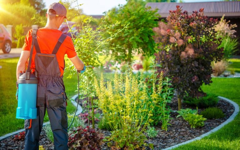 Tree and Lawn Care