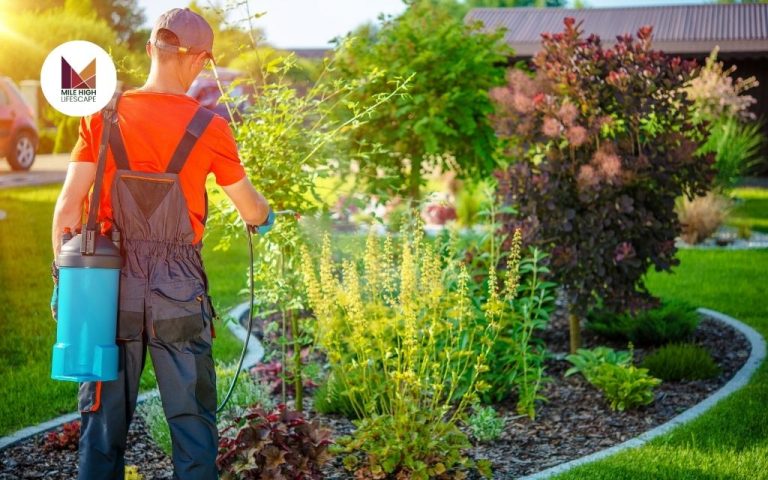 Tree and Lawn Care Services in Denver by Mile High Lifescape