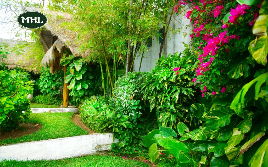 Denver landscape design: Tropical