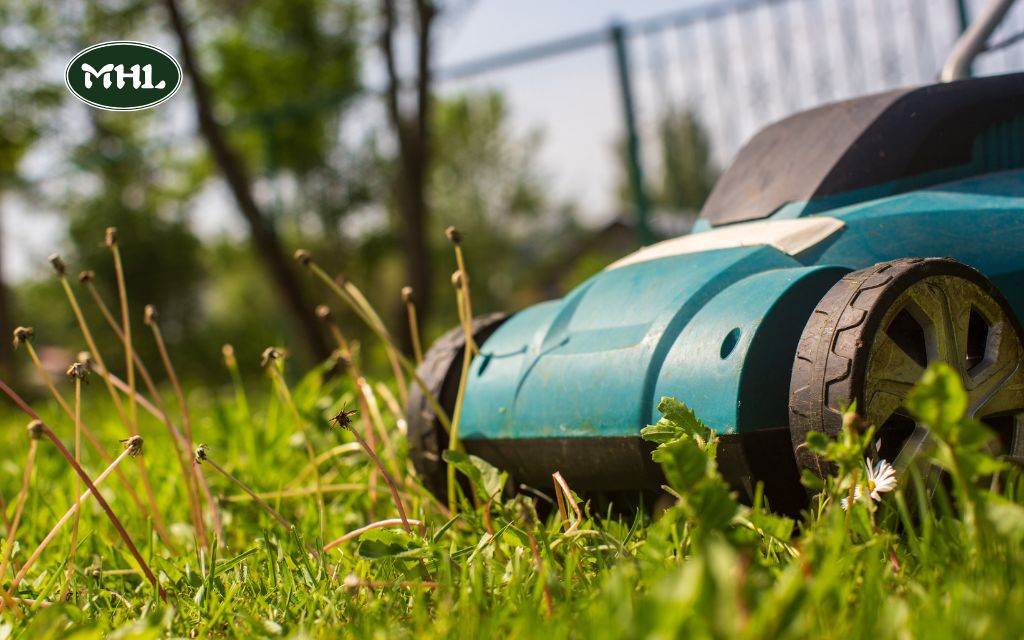 Understanding Lawn Mowing Costs: What You Need to Know in Denver