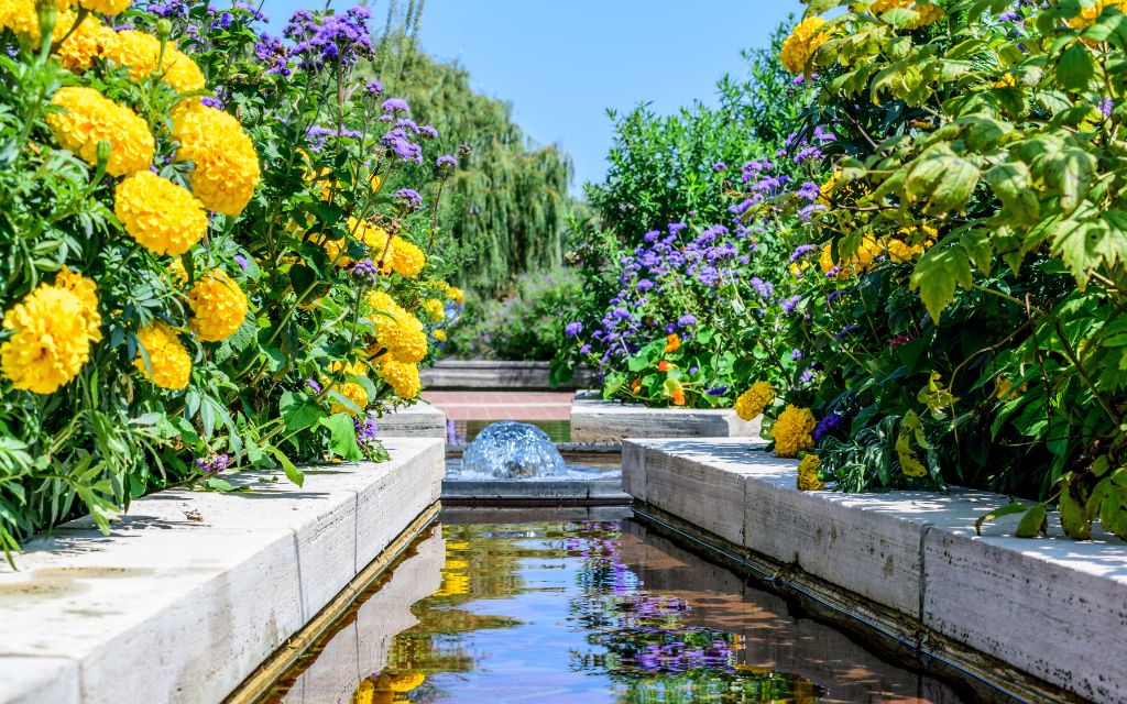 Water Feature Maintenance Tips