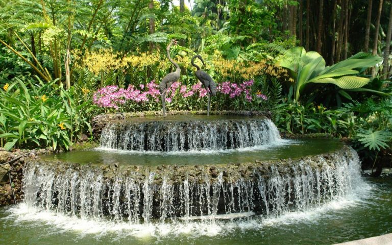 Water Features