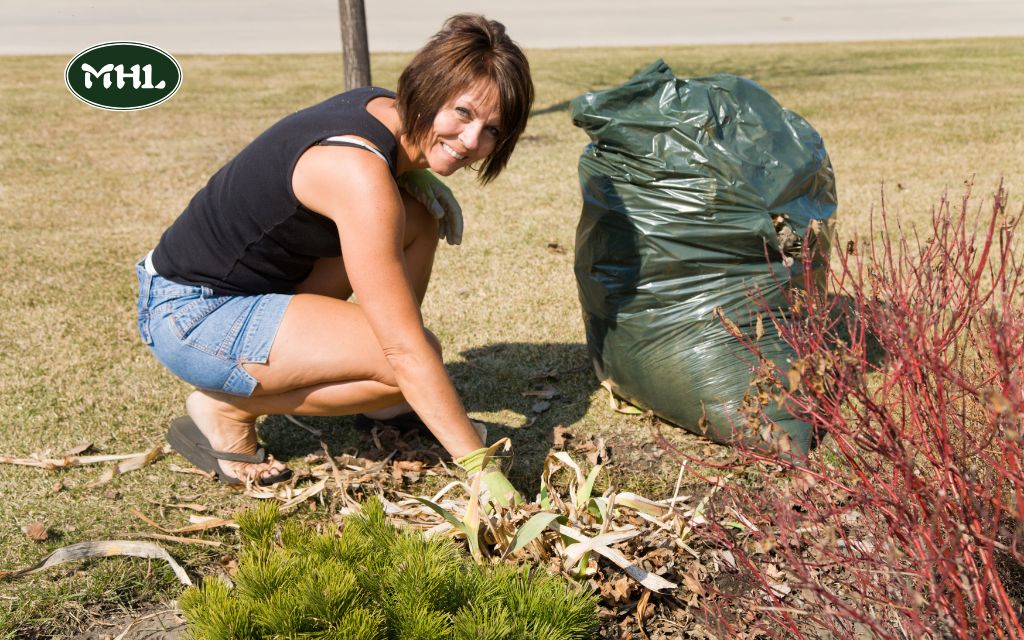 What Is a Spring Clean Up Landscaping Service?