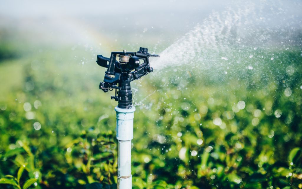 What Is Sprinkler Installation?