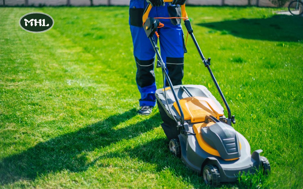 When to Mow Your Lawn in Spring: Tips for a Healthy Start to the Season