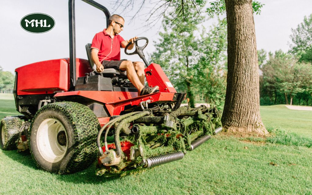 Why Hire a Professional Lawn Mowing Service Near Me?