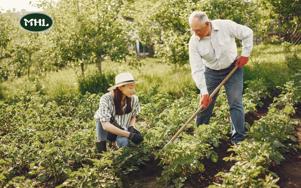 Why Is Spring the Best Time for Planting Trees?