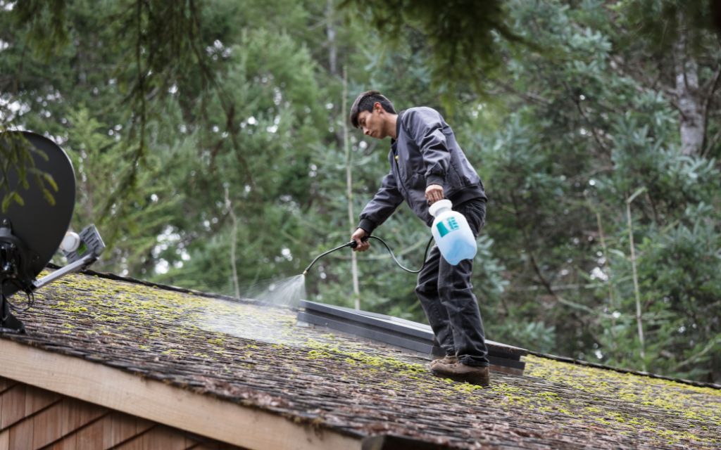 Why Should You Hire Professional Roof Cleaning & Maintenance?