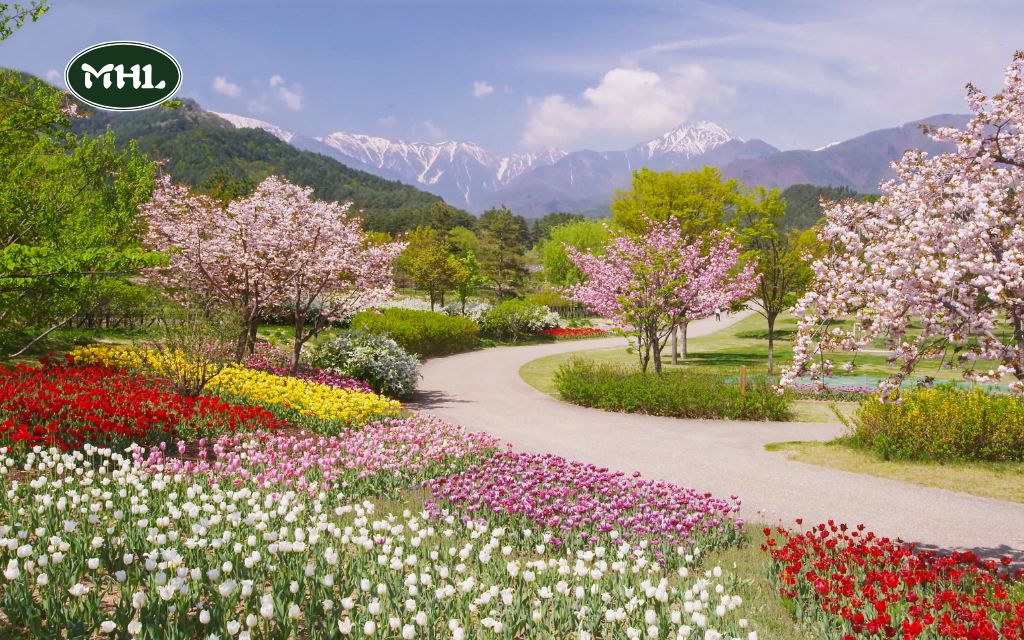 Why Spring Is the Ideal Season for Landscaping