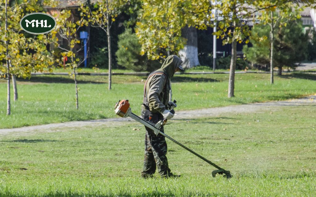 Why Spring Mowing Is Essential for Lawn Health