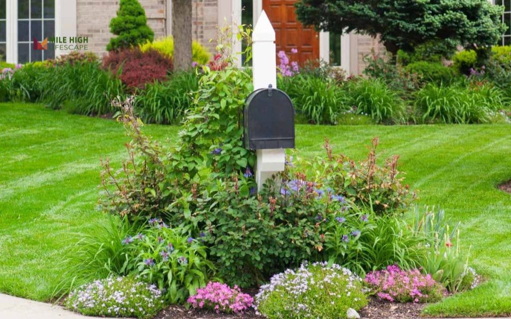 Wraparound Bed for Mailbox with Salvia and Alyssum
