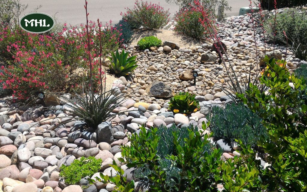 Xeriscaping for Small Yards