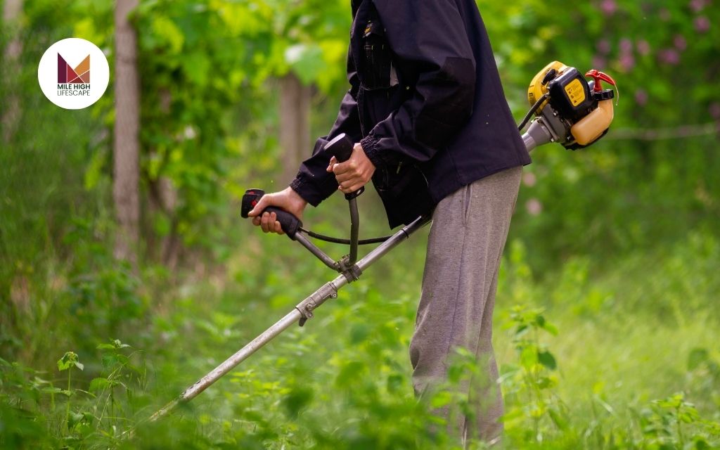 5 Effective Weed Control Techniques