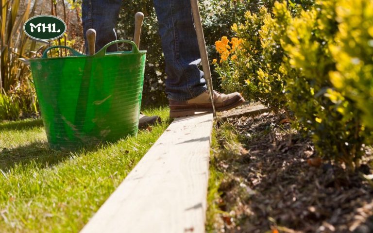 5 Lawn Edging Ideas to Keep Grass Out By Mile High Lifescape