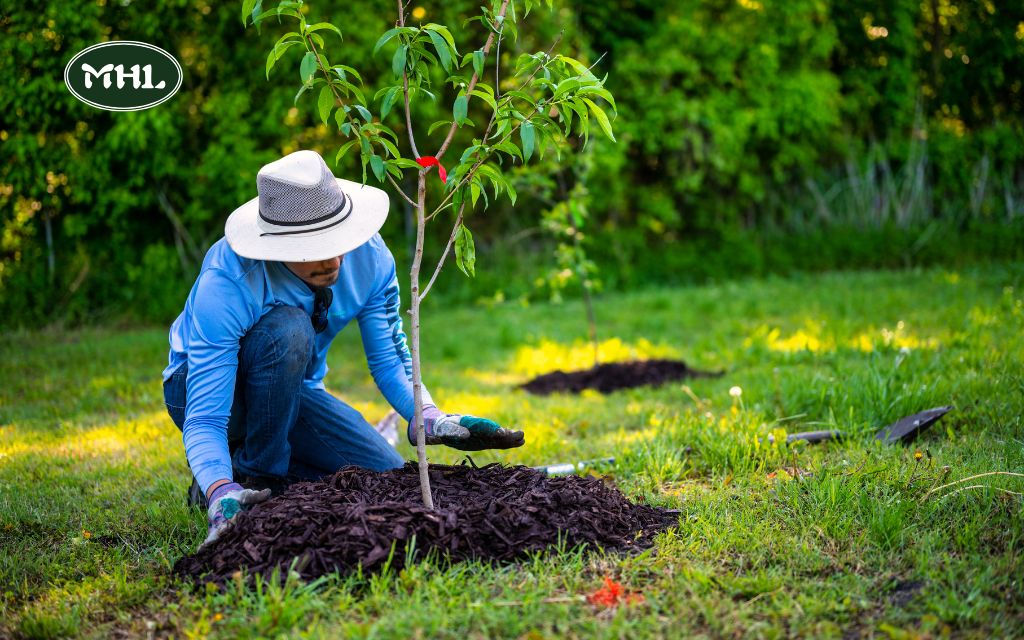 8 Front Yard Landscaping Ideas with Rocks and Mulch: A Low-Maintenance Guide to a Stunning Garden