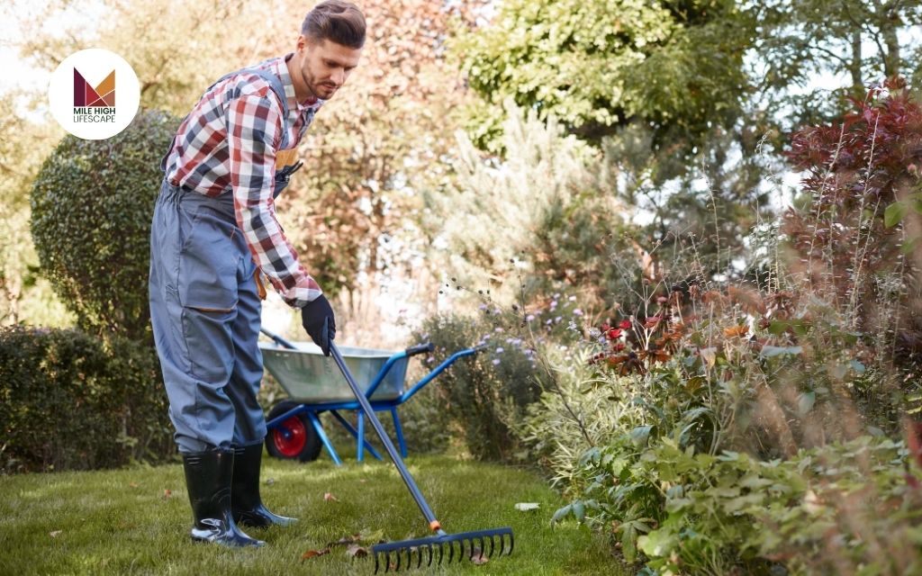 Benefits of Hiring a Professional Leaf Removal Near Me