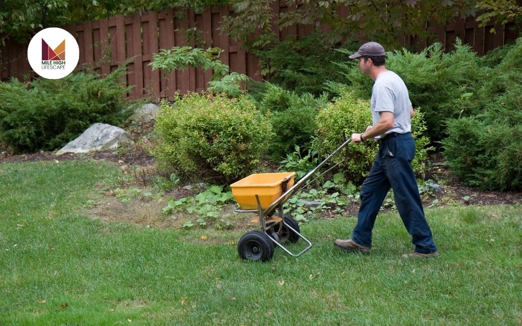 Benefits of Using Lawn Fertilizer