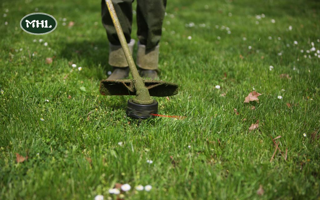 Best Lawn Mowing Service: Importance of Regular Lawn Maintenance