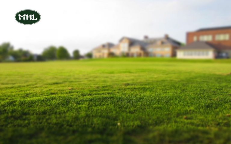 Cheap Lawn Mowing Services Near Me: Affordable Lawn Care Tips