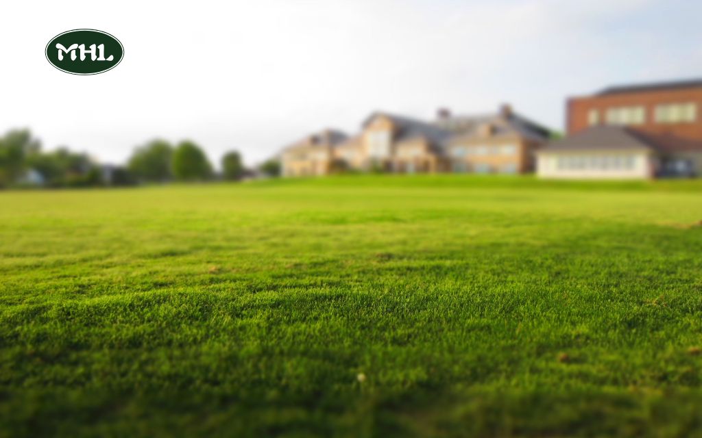 Cheap Lawn Mowing Services Near Me: Affordable Lawn Care Tips