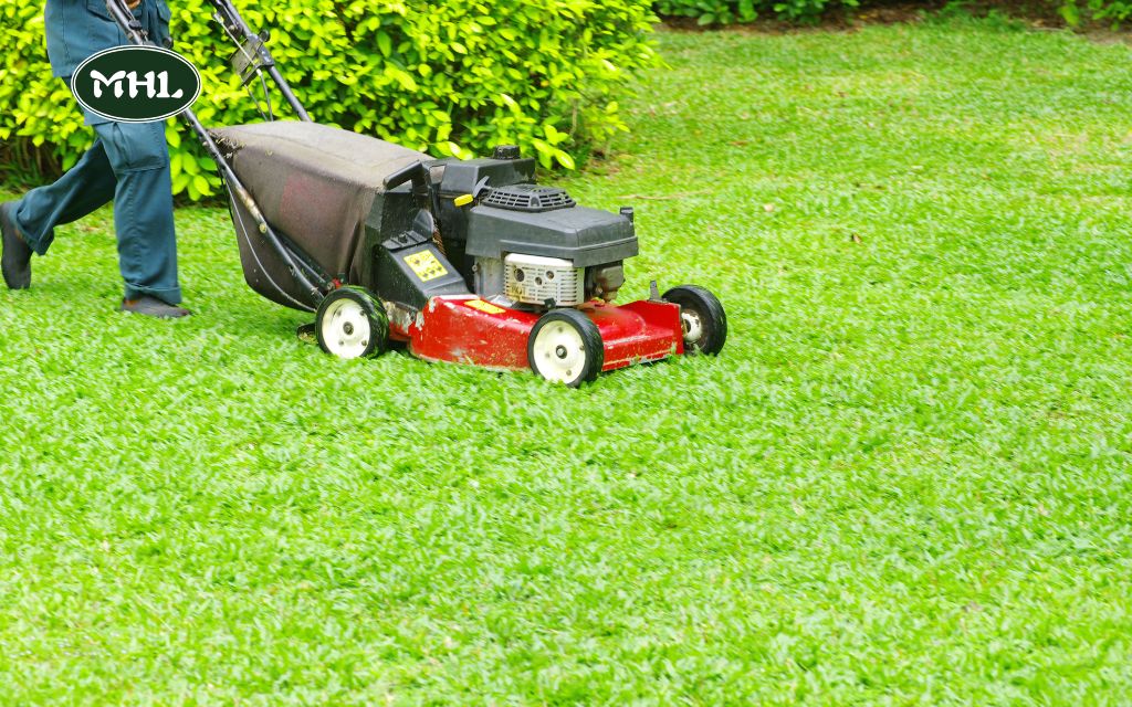 Cheap Lawn Mowing Services Near Me: How to Get Started with Mile High Lifescap