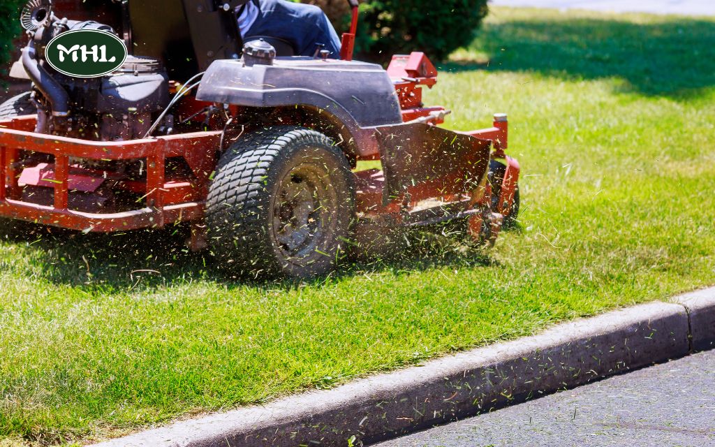 Cheap Lawn Mowing Services Near Me: The Importance of Regular Lawn Maintenance