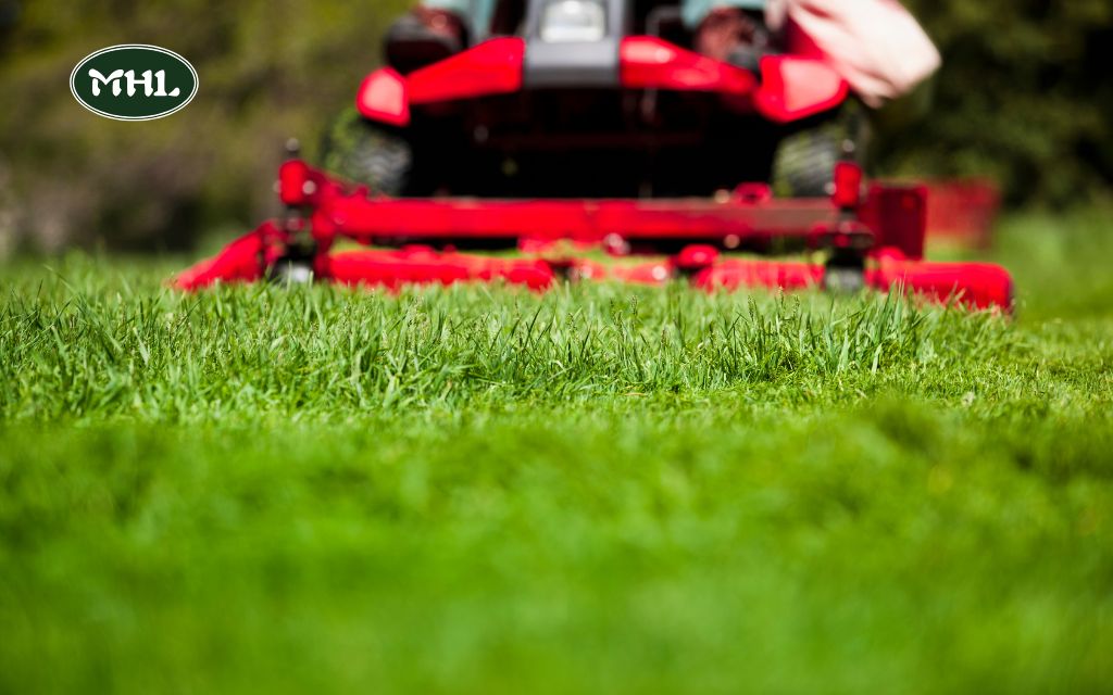 Cheap Lawn Mowing Services Near Me: Tips for Maintaining a Beautiful Lawn on a Budget