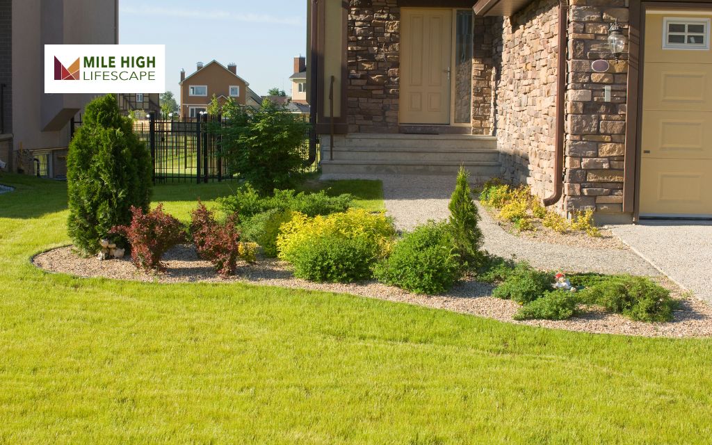 Choosing the Right Landscape Maintenance Services in Denver