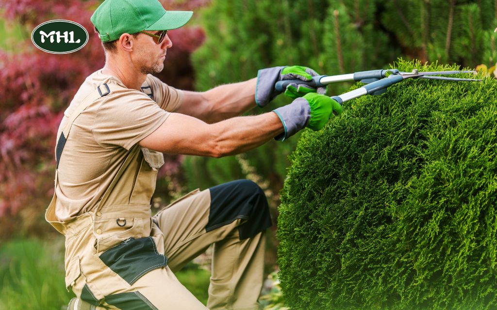 Cost of Bush Trimming Near Me