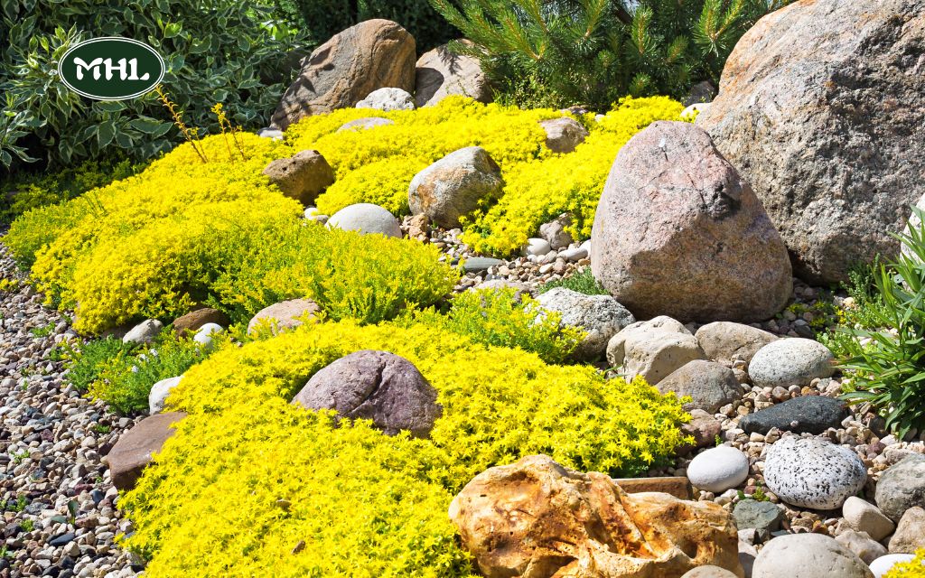 Enhance Your Space with a Rock Garden