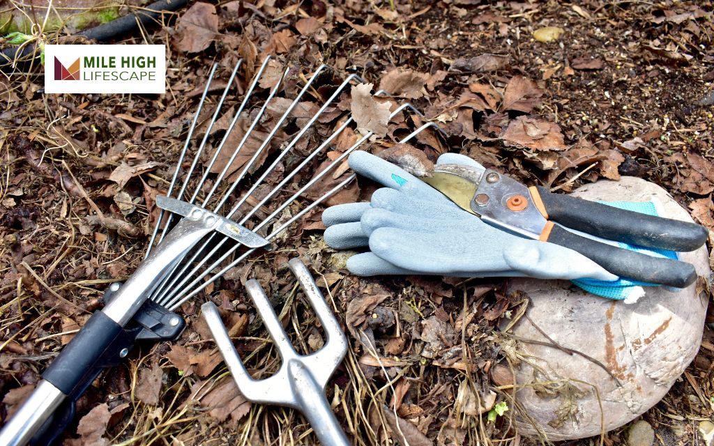 Essential Tools for Landscape Yard Clean Up